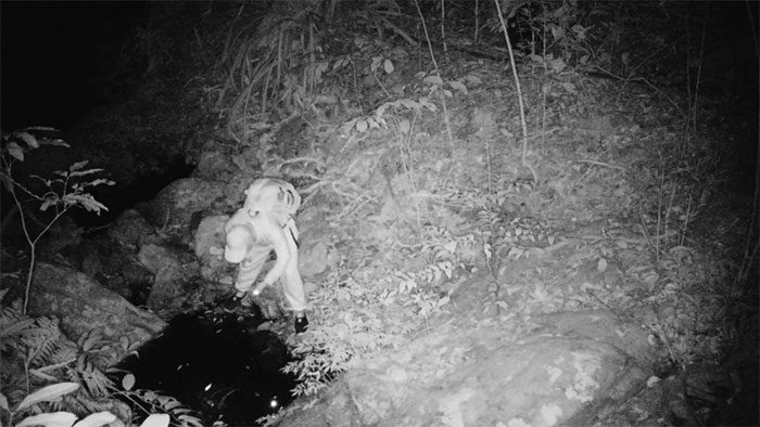 A suspected turtle poacher.