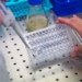 scientists develop vaccine for mystery disease x 129151