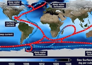 sea level rise could cause climate disasters for earth in 2025 128888