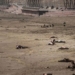 sea lion massacre kills nearly 9 000 marine animals in chile 127749