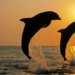 sea water and the inevitability of drinking directly from it how to supplement water 127175
