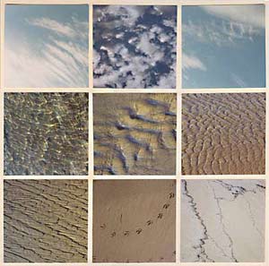Bacteria can thrive in sand