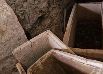 search for the criminal specializing in the strange 2000 year old mummy 127777