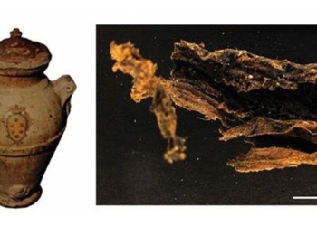 shocking discovery in an ancient tomb in thanh duong san lorenzo 128005