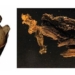 shocking discovery in an ancient tomb in thanh duong san lorenzo 128005