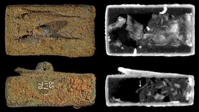 Neutron tomography image clearly showing the animal mummy and materials used for coffin balance