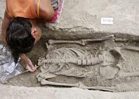 skeleton