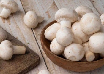 small but powerful herbs for natural blood sugar control 127938