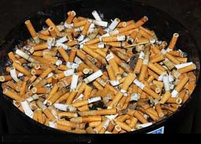 Cigarette butts