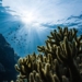 south pacific ocean oxygens secret critical importance 127785