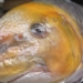 special fish type that makes many people hunt for billions to test 127685