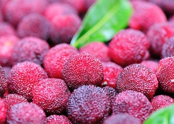 special fruit exists for 3 000 years delicious and bringing youthful skin 127532