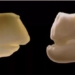 strange lizard can grow teeth like a crocodile 127145
