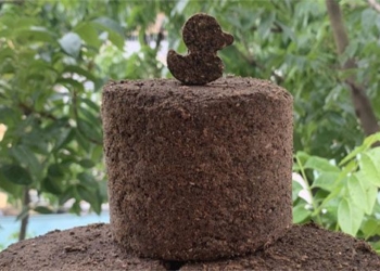 student creates a coffee based foam 128671
