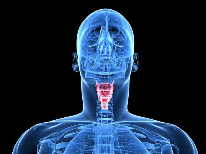 Changes in the larynx can begin to occur from the age of 30.