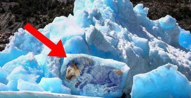 Melting glaciers will awaken ancient viruses.