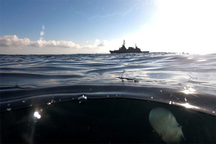 A jellyfish swimming underwater as an Israeli military ship moves near the coast of Haifa