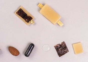 successful creation of edible battery from food ingredients 127019