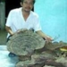 successful planting 14 types of precious medicinal fungi 5289