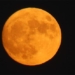 super orange 2 times appearing continuously since july 3 128356