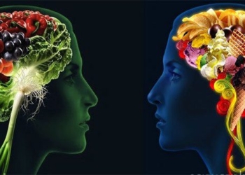 surprised by the impact of everyday foods on nano 126854