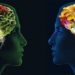 surprised by the impact of everyday foods on nano 126854