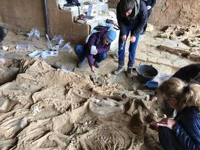 Bones of over 50 animals believed to be sacrifices at the ancient religious site