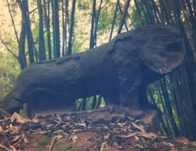 Tiger-shaped stone