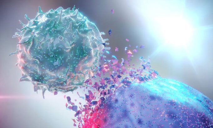 NK Cells