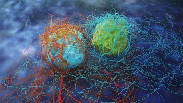 Cancer Cells