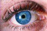 Some forms of blindness in humans may be treated with the patient's own stem cells