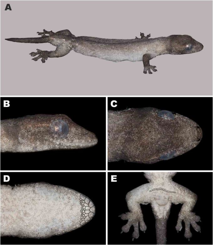 Photo of the new species sample analysis.