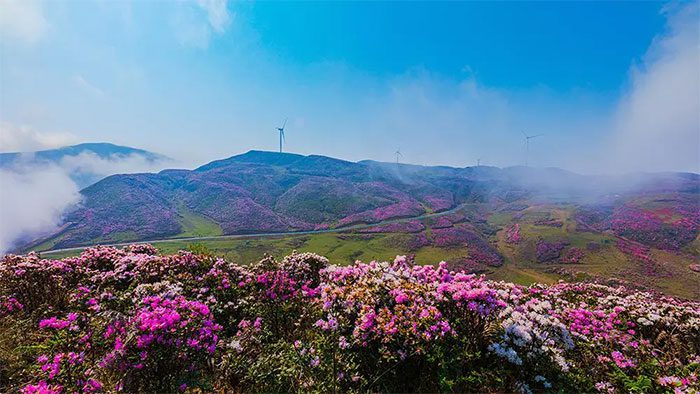"The city without air conditioning" in China: Residents do not know what heat is!