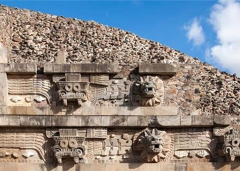 the 1 500 year old rare plant revealed in the capital of mexico 128957