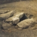 the 2 000 year old coffin causing controversy about women