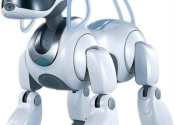 the 5 best robots in the universe 5352