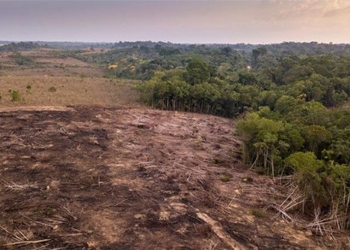 the climate deadlock will occur in the next 15 years 128596