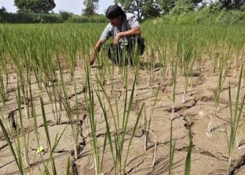 the el nino officially appears drought and more serious heat 127968