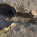 the fate of the ancient 5 000 year old coffin 128557