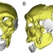 the gearbox discovered in china is not like any other human species found before 129196
