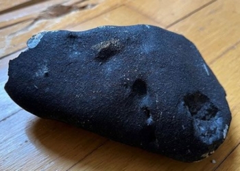 the ghost is the immortal elder fruit mai nha dan 127385