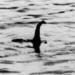 the greatest loch ness monster sighting in 50 years will use a bunch of high tech equipment 129150