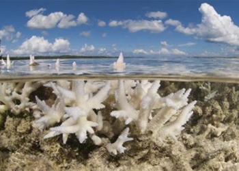 the hottest ocean in 100 000 years what will happen next 127441