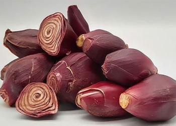 the kind is called sam which is widely known in vietnam as a supplement for bone health 127575