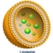 the lego toy model has effective therapeutic properties for kidney disease 5238