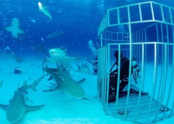 the most horrifying adventures of the titanic wreck risking lives but always attracting rich people 128230