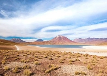 the most powerful words in the world on chile sand dunes 128805