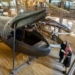 the only blue whale in the world 127997