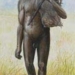 the people who are shorter in indonesia are not a new species 5610
