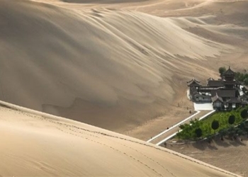 the phenomenon of bizarre caterpillar appearance on sand in china 128343